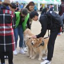조광동물병원 이미지