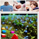 이브닝 스트레칭 요가 이미지