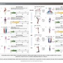 피지컬GYM 이미지