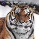 엘리트 프로짐 1호점 이미지