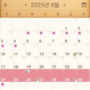 당기세요 | 결혼식 피임약 야즈로 생리 당기기 후기(생리 미루기 nono 당기세요!)