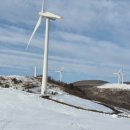 대관령엘도라도 이미지