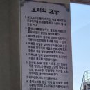 한강오리 | 김포 운양동 맛집 유정원한강오리 방문 후기 (feat. 찬바람이 불어오는 겨울엔 가족들과 김포 맛집...