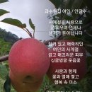 과수원집 이미지