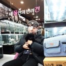 내 품안의 반려견(강서점) 이미지