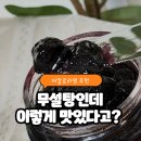 블루베리 | 저칼로리잼 찾는다면?무가당 팜푸르 블루베리 콩포트 리얼 후기