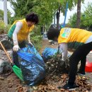 강서농산물도매시장 이미지