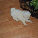 온달마루 이미지