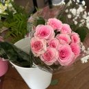 [25년 3분기] 라인댄스 오전 | [웨딩플래너 일상] 25년 10월, 나의 반 토막 난 한 달