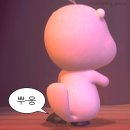 드르롱 이미지