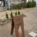 영희네집2 이미지