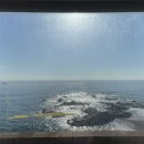 남다른대구막창(울진후포점) 이미지