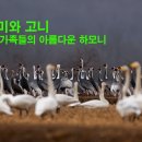 두날개 티스토리