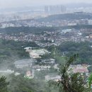 청운중학교 | 인왕산 우중산행,더 숲 초소책방에서 광화문역까지 신난 우중런 후기