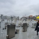 선진환경연구원 이미지