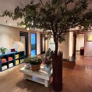 황제파크 | [홍천마사지] 황제발관리 방문후기, 홍천 비발디파크 마사지, 홍천 발마사지