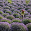 뉴 본 태권도 이미지