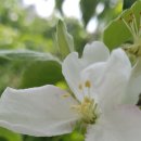 행복애농원 이미지