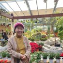 포항환호공원 이미지