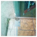 대일모터스 이미지