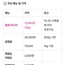 박소현미나리 이미지