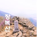 [테마 2024년 3월 30일 토요일]진해 장복산+덕주봉+벚꽃+진달래 군항제 산행안내 이미지