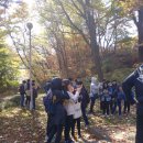 20171105 주일학교 복사단 도보 성지순례 이미지