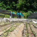 김병기농가 이미지