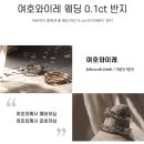 벧엘라이프 | 💍 결혼식 세 번째 걸음 : 웨딩밴드투어 Ⅰ(feat. 토브라피스니제르)