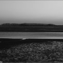 솔밭사이로 이미지