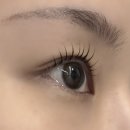 컴포즈커피미사호반써밋점 | 미사속눈썹펌 잘하는 곳 : [스튜디오플랑] 블랙틴팅 속눈썹펌 리얼후기 & 눈썹반영구 잔흔제거 후기도