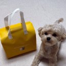 우월한 탄산 이미지