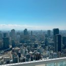 정원빌딩 | 오사카 우메다 공중정원 티켓 스카이빌딩 입장료 주유패스 후기