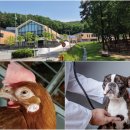 (주)영남환경E&T 이미지