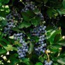 이윤 농장 이미지