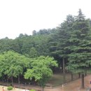 법기수원지 이미지