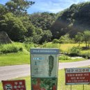 거창-거창-8 이미지