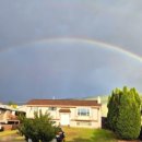 지금 여기 이미지