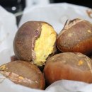 자이글(주) 이미지