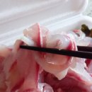 사파동281 | 창원 사파동 횟집 포장후기