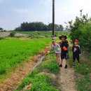 스포츠 아이 수영장 이미지