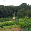 동신농장 이미지