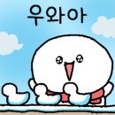 엘&엠 네이버블로그