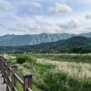 칸무인텔 이미지