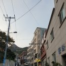 섬앤썸호텔 | [울릉도 호텔] 울릉도 신축 호텔섬앤썸 온돌큰방 숙박 후기