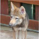 대전오월드 이미지