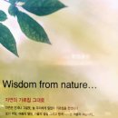 정관장 홍삼 송정점