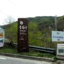용화산들꽃향기