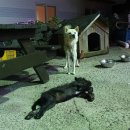 청남골프연습장 이미지