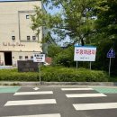 세븐일레븐 파주마장호수점 | [파주] 필무드에서 데이지보고 마장호수 출렁다리 방문 애견동반 가능